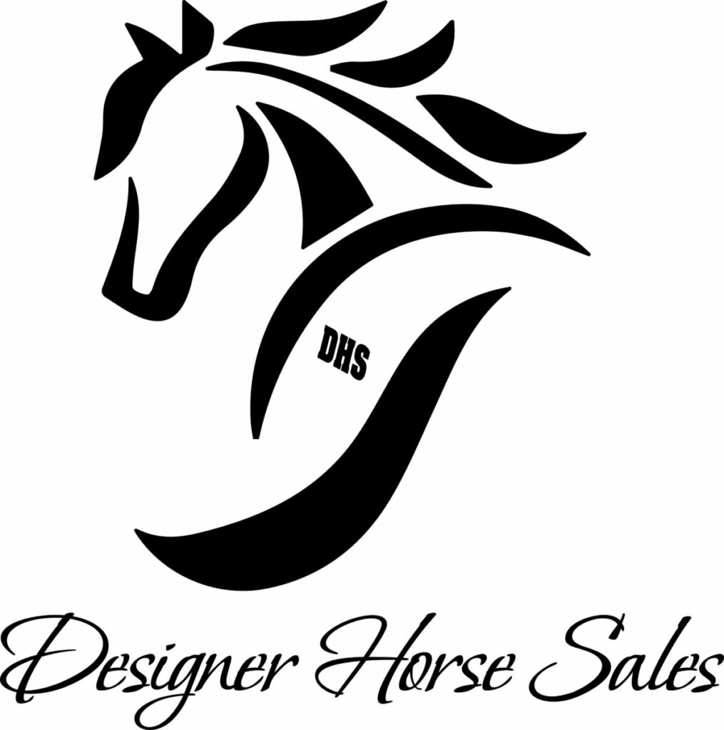 Designer Horse Sales – Our mission is to offer you the best experience ...